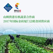 农派有机蔬菜宅配卡「4KG配送2次」时令蔬菜10种