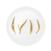 小罐茶 10罐装茉莉花茶（畅享）-3.0版B