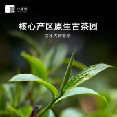 小罐茶 大师系列·普洱茶（熟茶）10罐装（金罐）4.0版A