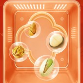 洽洽坚果-洽到福到礼盒