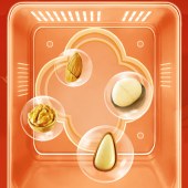 洽洽坚果-洽洽甄果礼盒